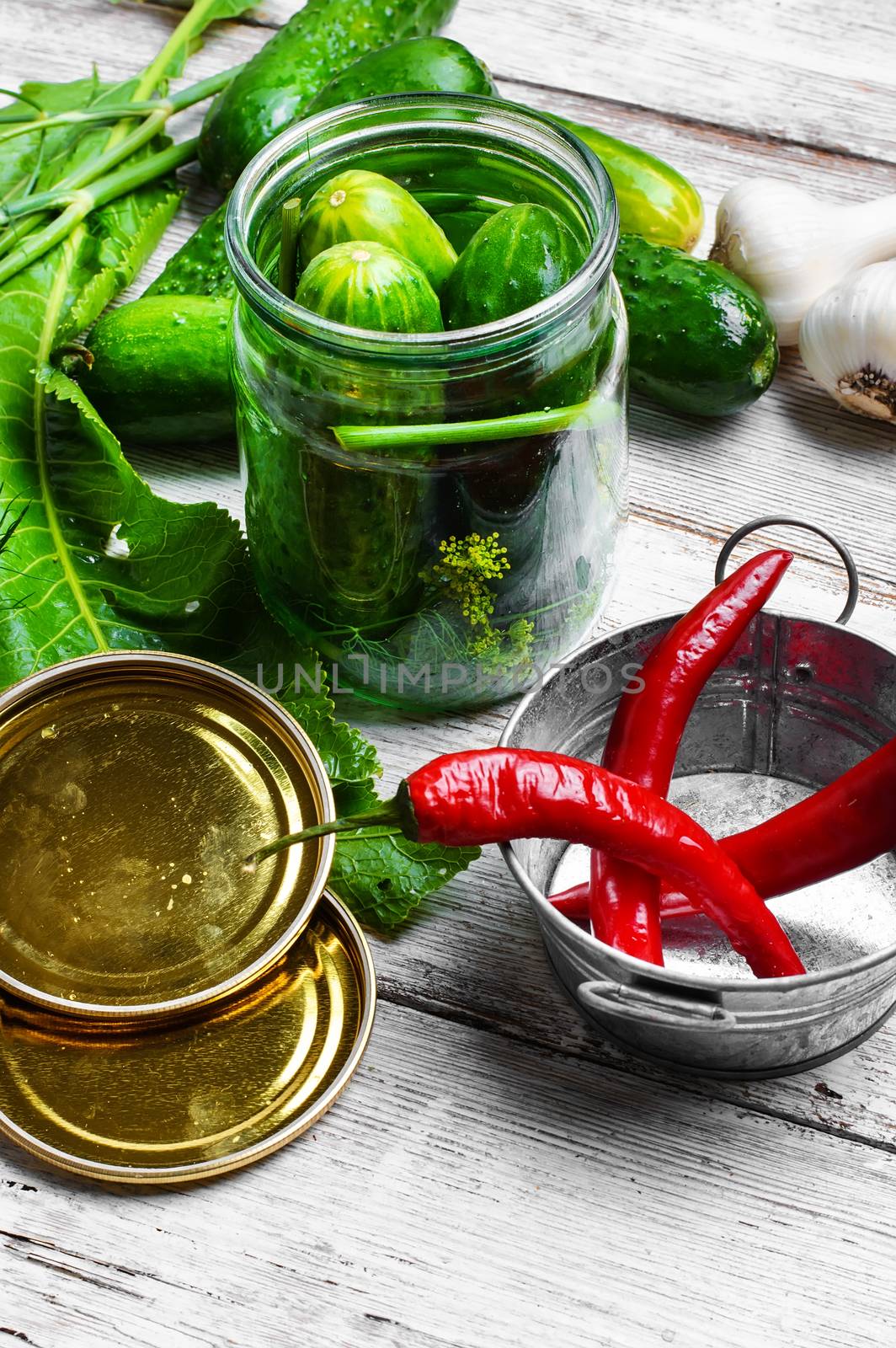 yield of cucumber,pepper,spices and fennel for pickling
