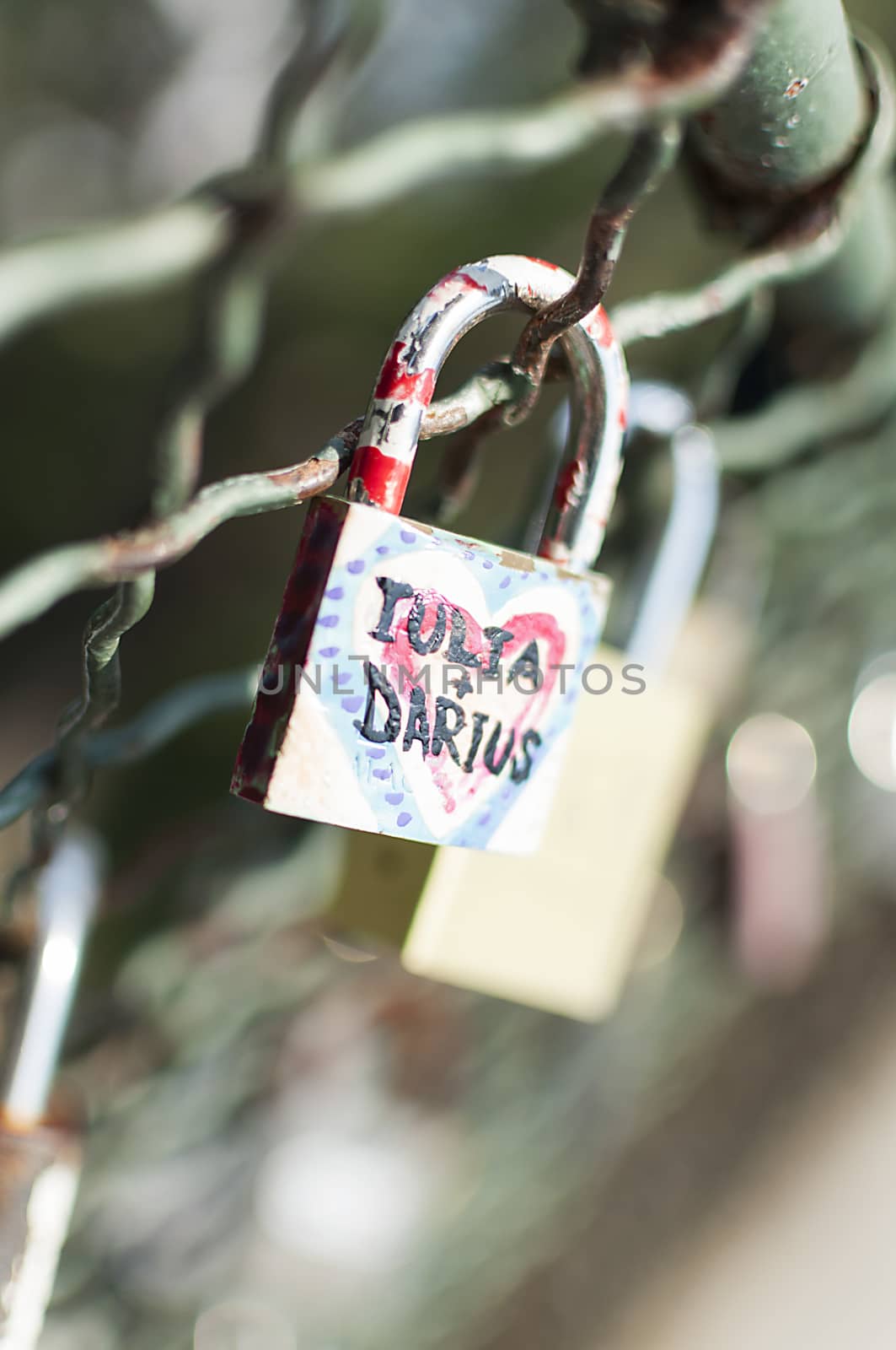 Close-up on lockers symbolizing everlasting love on a bridge fence