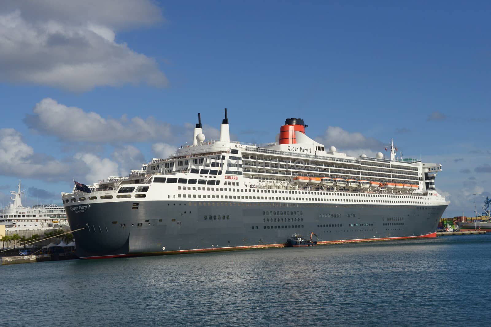 Queen Mary 2 liner by gorilla