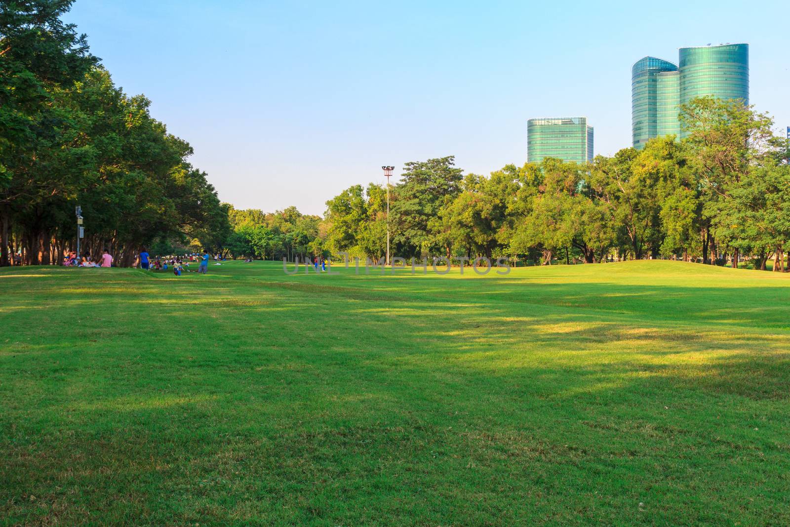 City park under blue sky with building background