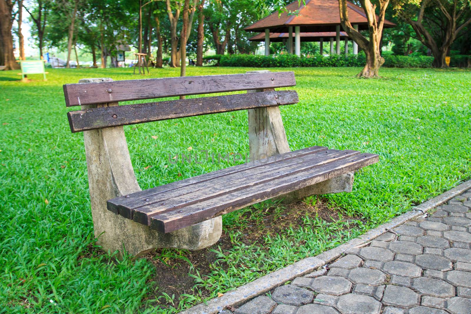 Bench under the tree in the park