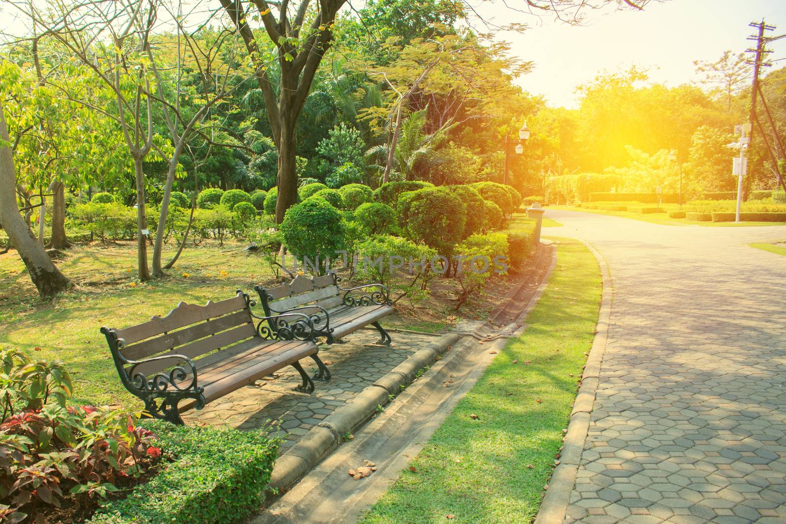 Bench in beautiful city park for relax on vacation