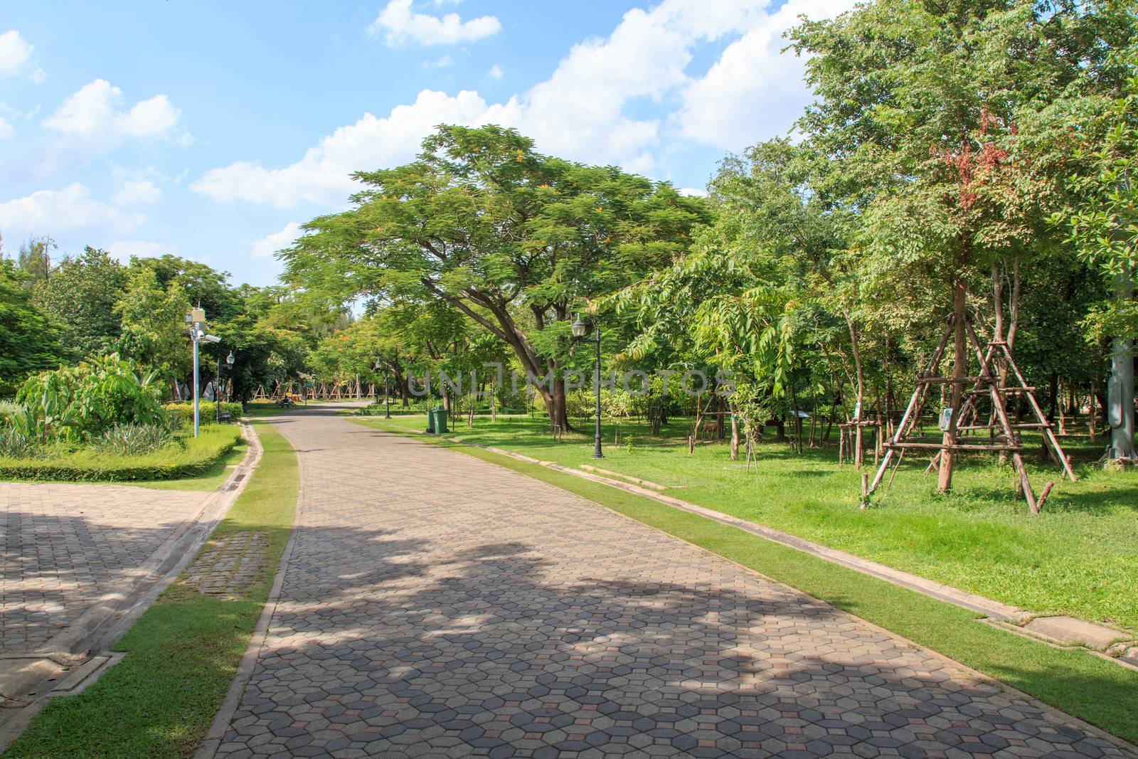 Green grass field in big city park