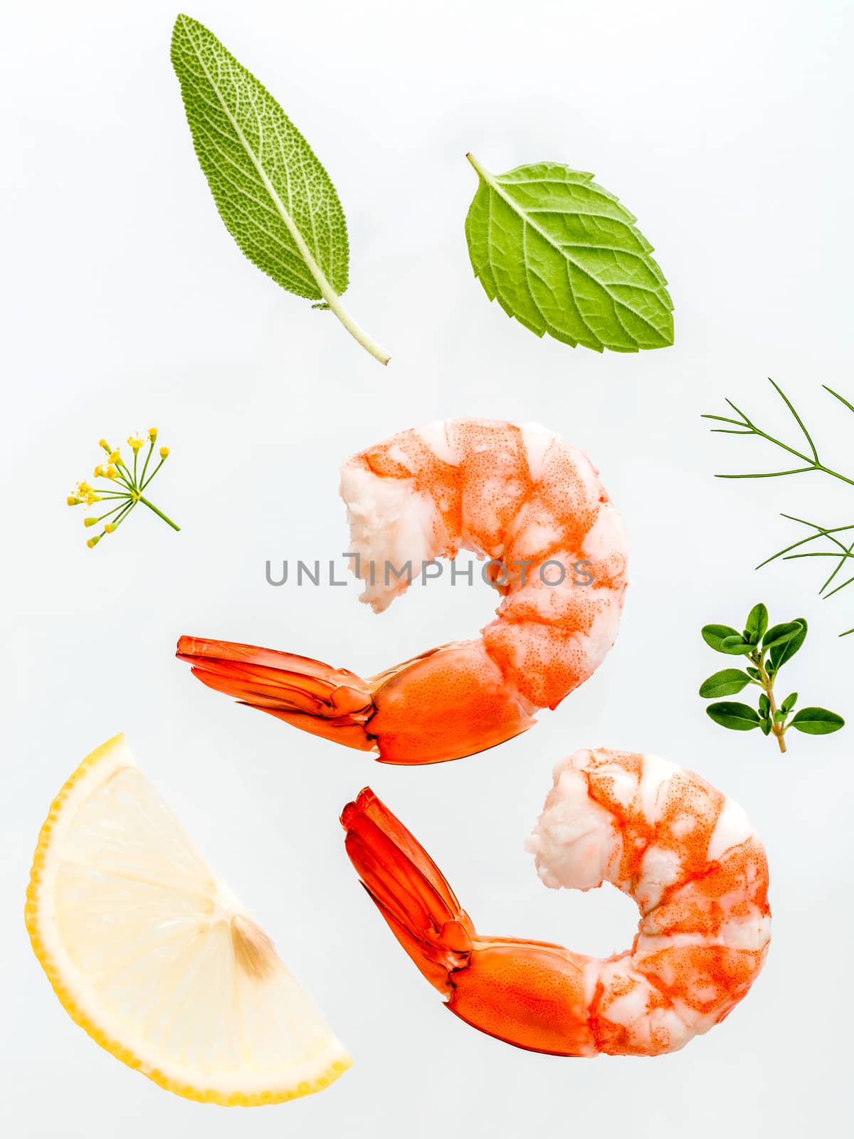 Fresh steamed shrimp isolate on white background. Boiled prawns with ingredients. Boiled prawns with herbs Fennel ,parsley,rosemary,lemon and mint with fork isolate on white background.