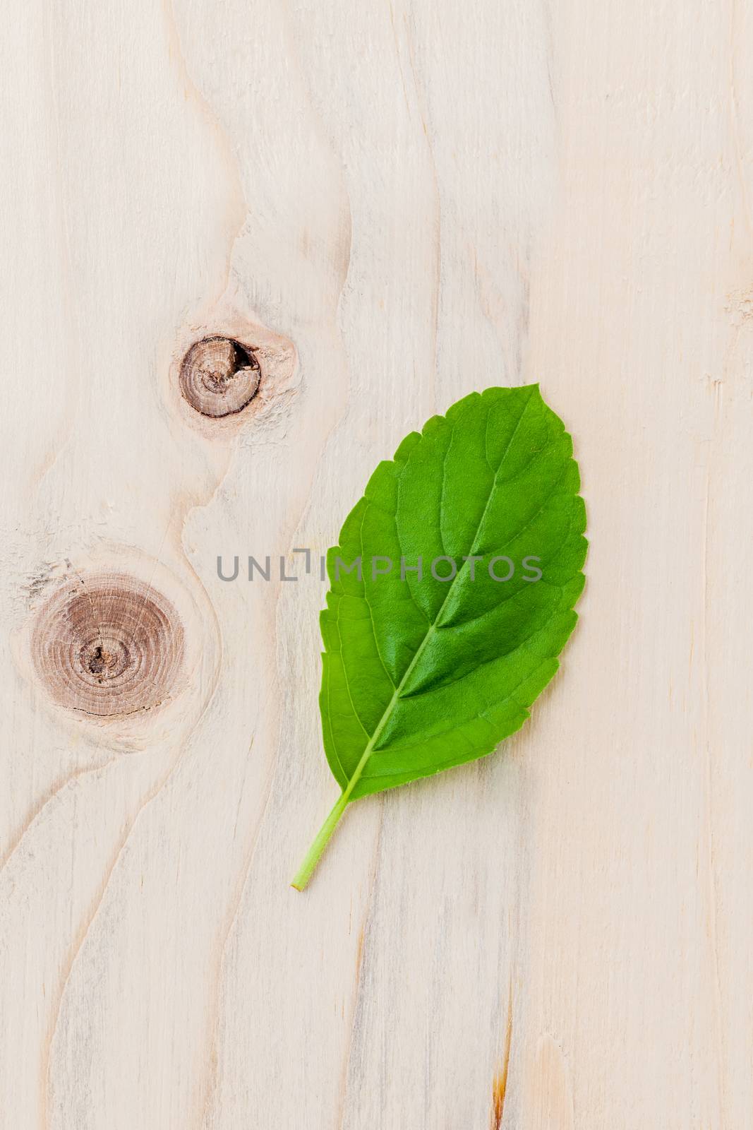 Alternative medicine fresh holy basil leaves on wooden backgroun by kerdkanno