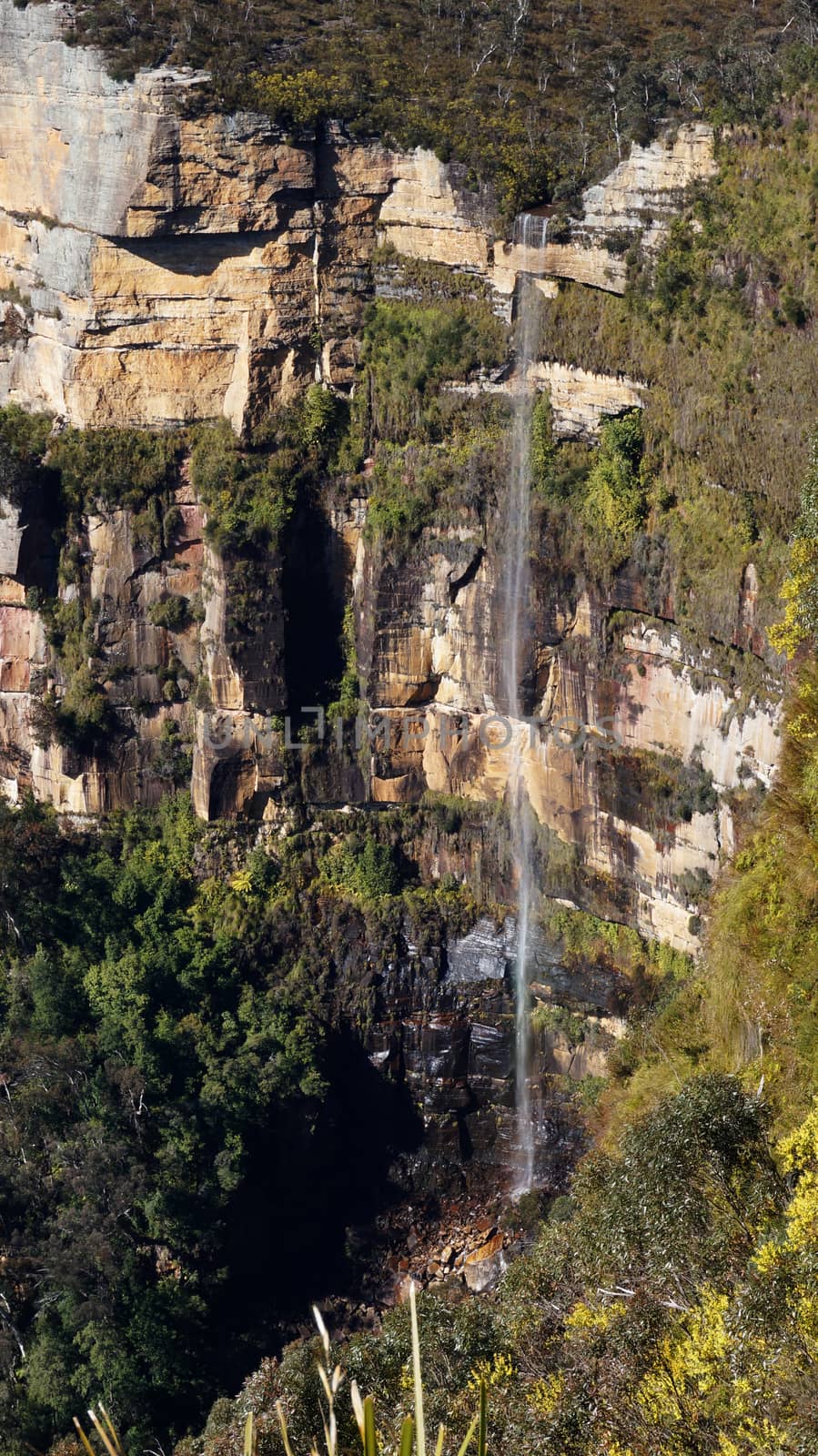 Blue Mountains National Park in Australia by tang90246