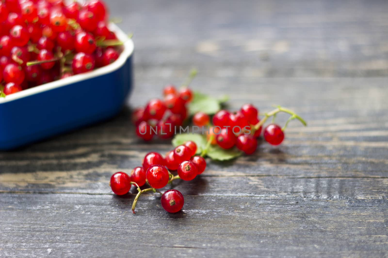 Harvested red currant berries in a small blue bowl