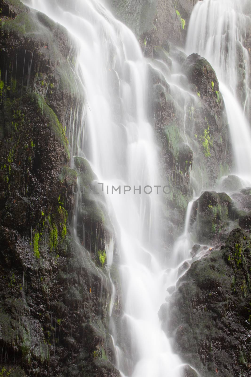 Achada waterfall in Achada, Sao Miguel by CaptureLight