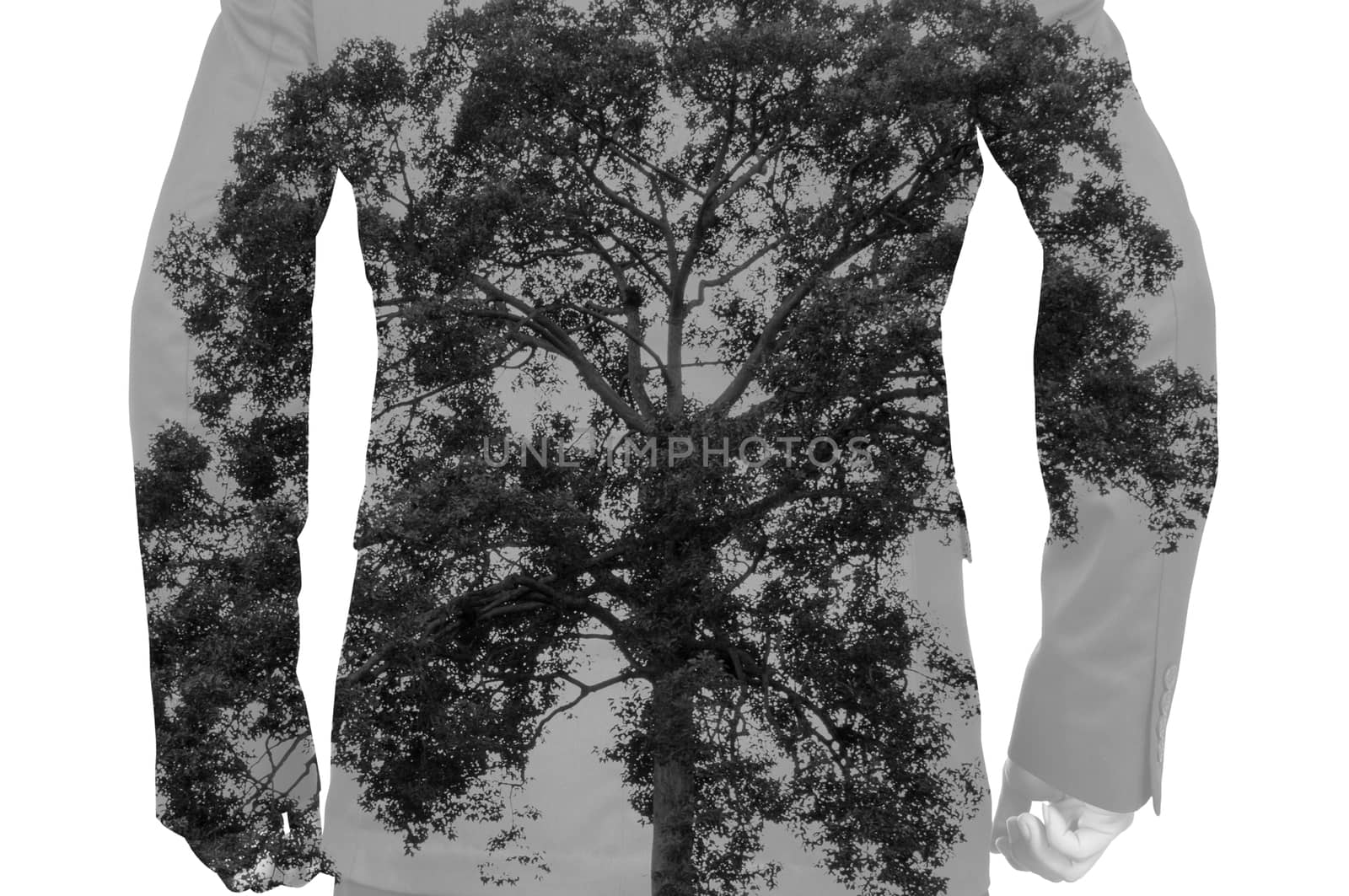 Double Exposure of Businessman with Big Tree as Human bone in Healthy Medical Concept