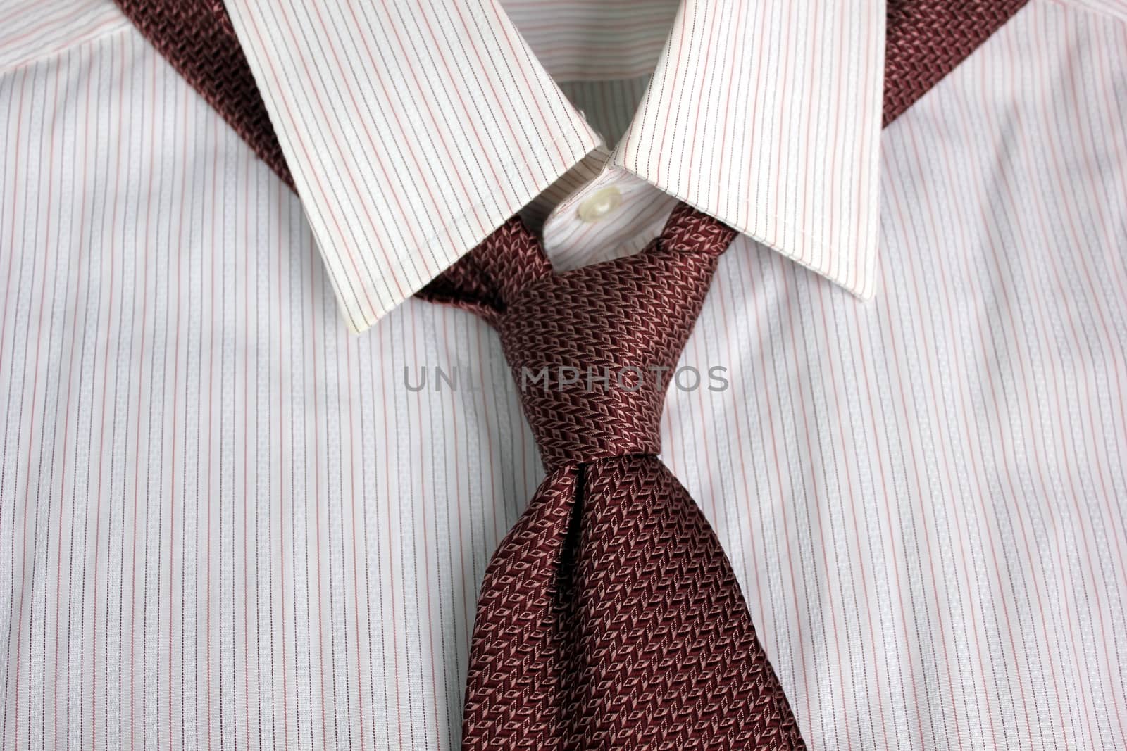 The tie tied in knot round a shirt collar