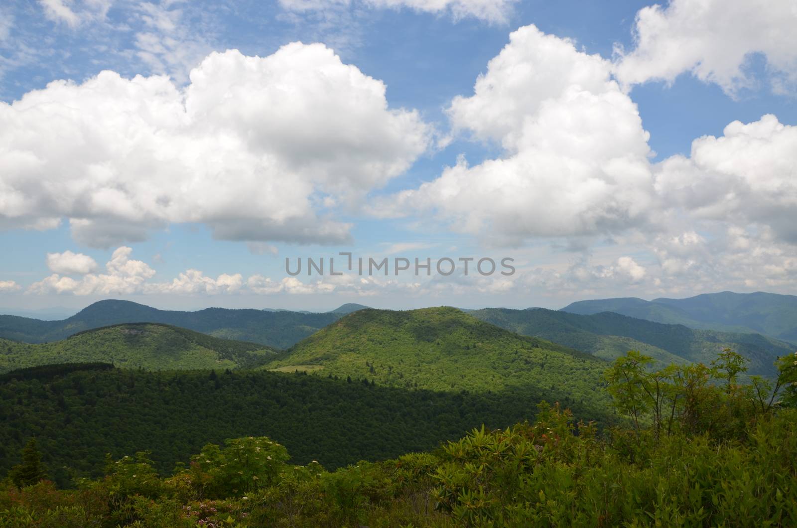 View along the Art Loeb trail in North Carolina. This is near Black Balsam knob.