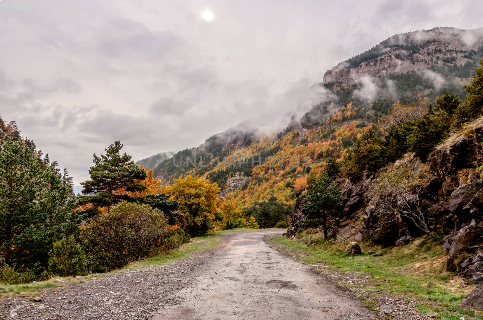 Autumn in the Pyrenees by TilyoRusev