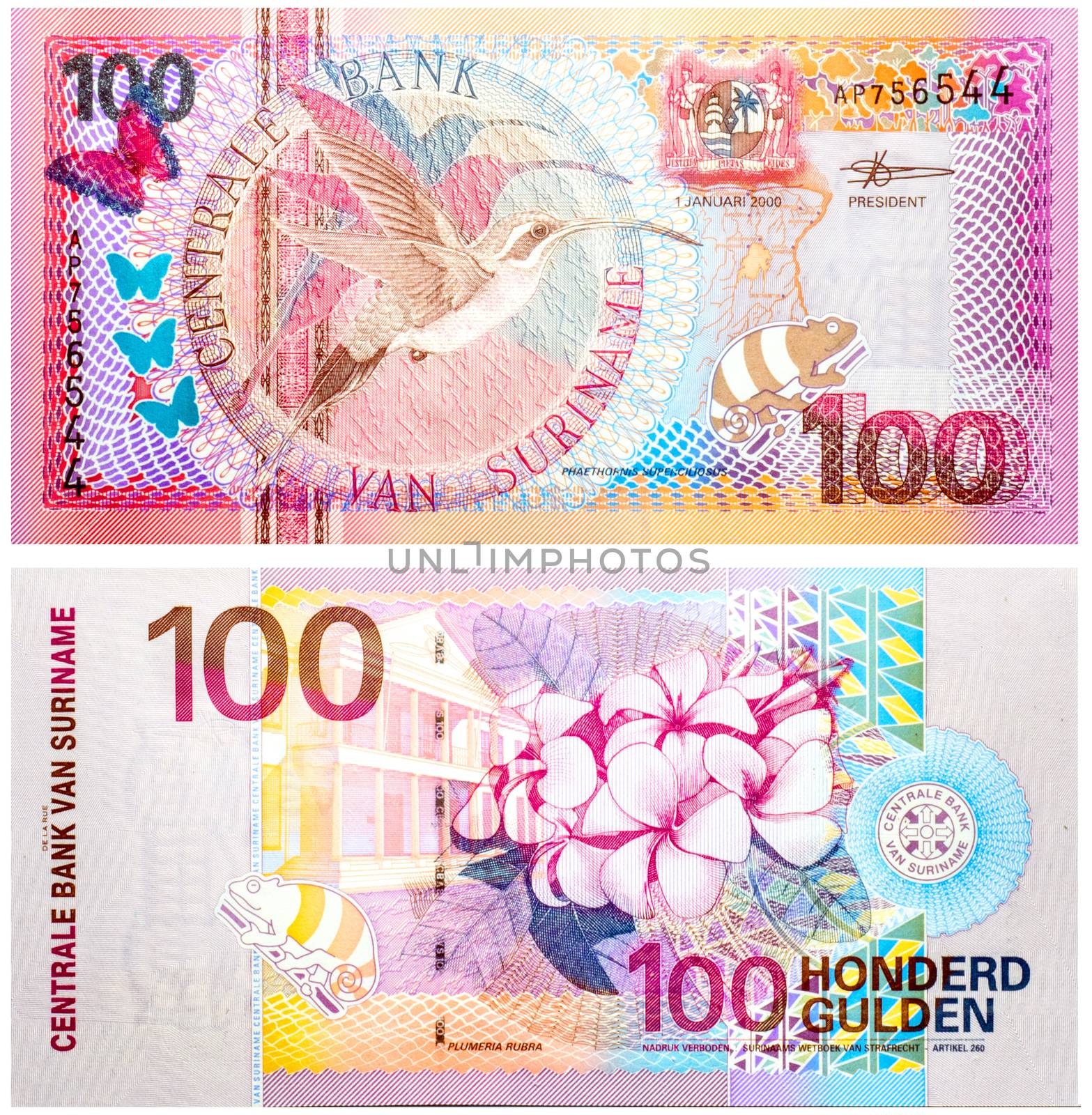 Banknote 100 Gulden Suriname front and back isolated on white emitted on 2000. Long talled hermit on front and a flower on back