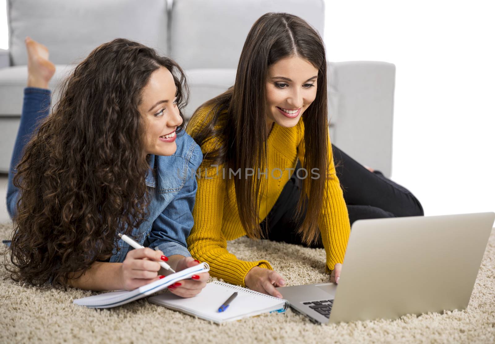 Beautiful teenage friends studying together at home