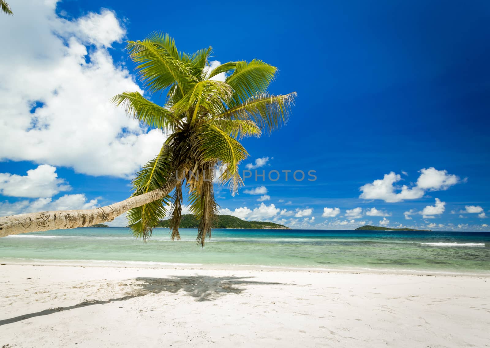 Beautiful view of a tropical beach in La Digue, Seychelles