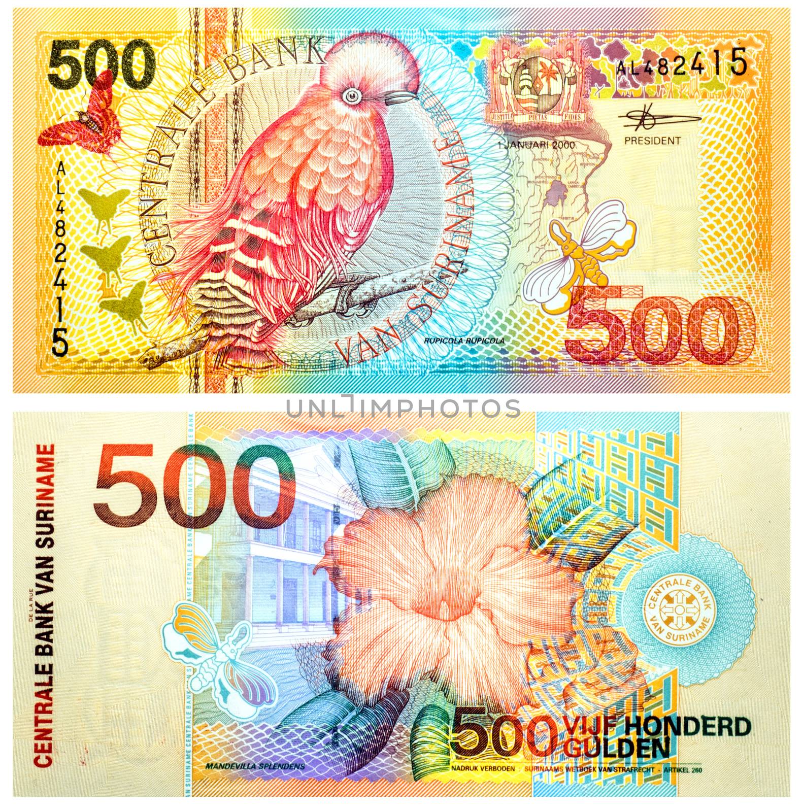 Banknote 500 Gulden Suriname 2000 by rigamondis