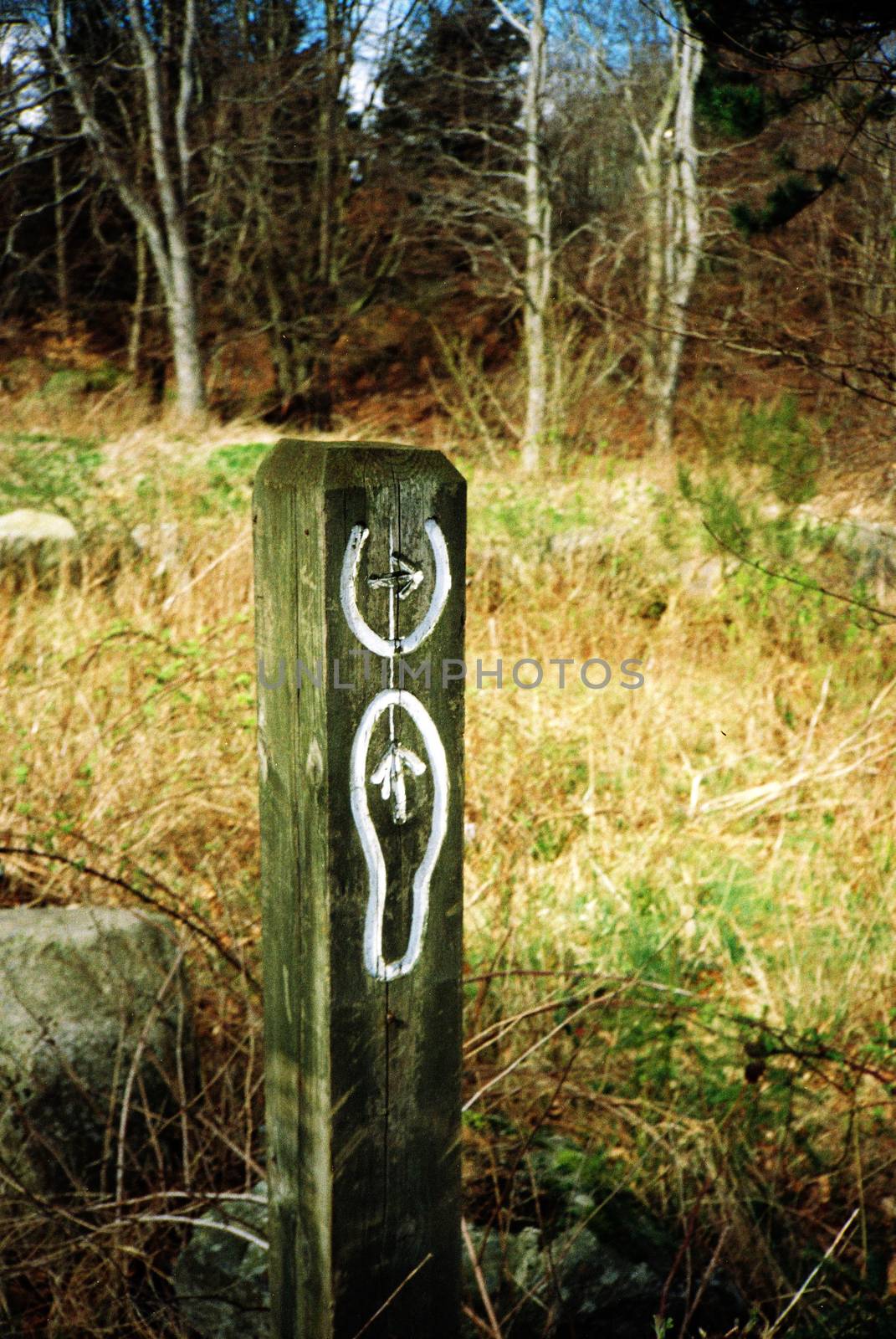 Film image of wooden pole on meadow in Countesswells, Aberdeen