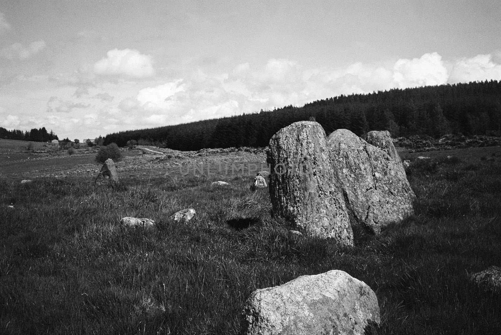 Black and white film image of meadow and forrest in Eslie, Durris, Aberdeenshire