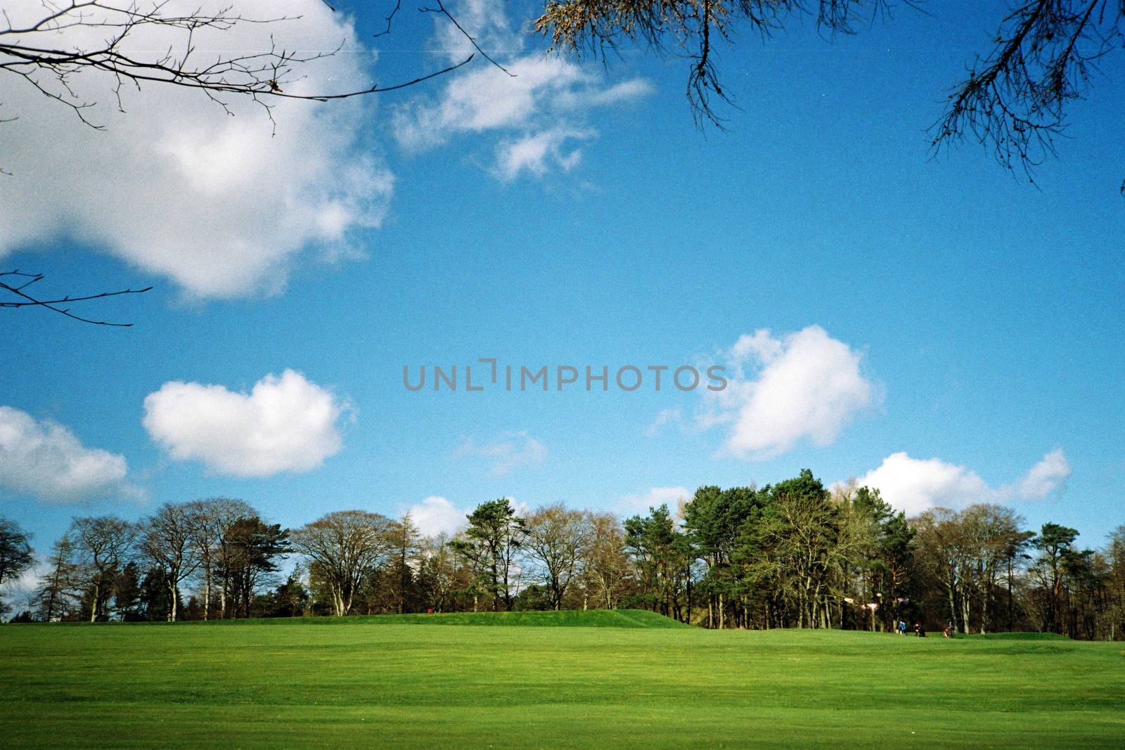 Film image of forrest in Countesswells, Aberdeen