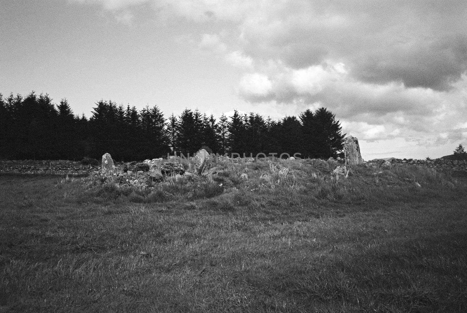 Black and white film image of meadow and forrest in Eslie, Durris, Aberdeenshire