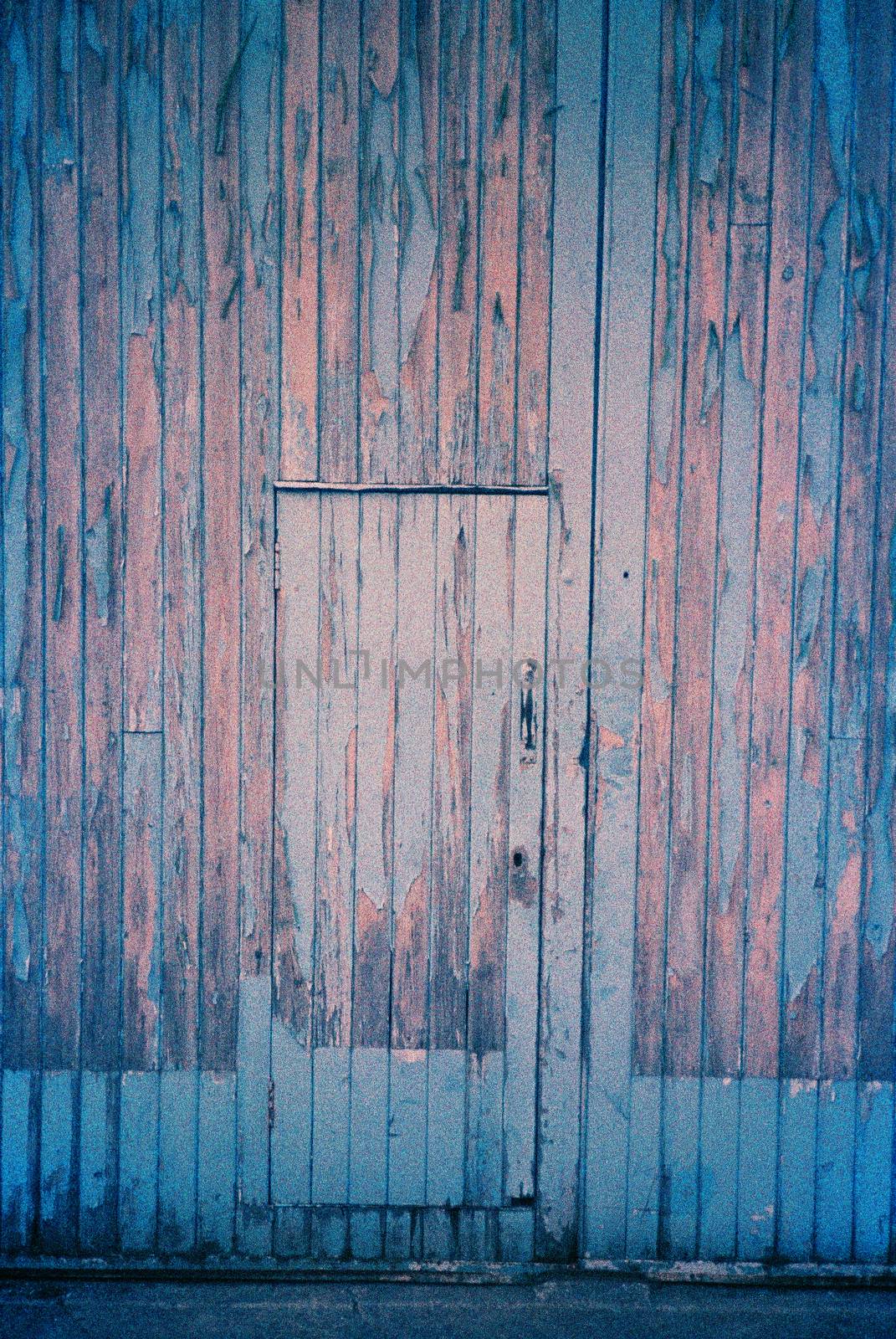 Color film image of wooden door in Laurencekirk