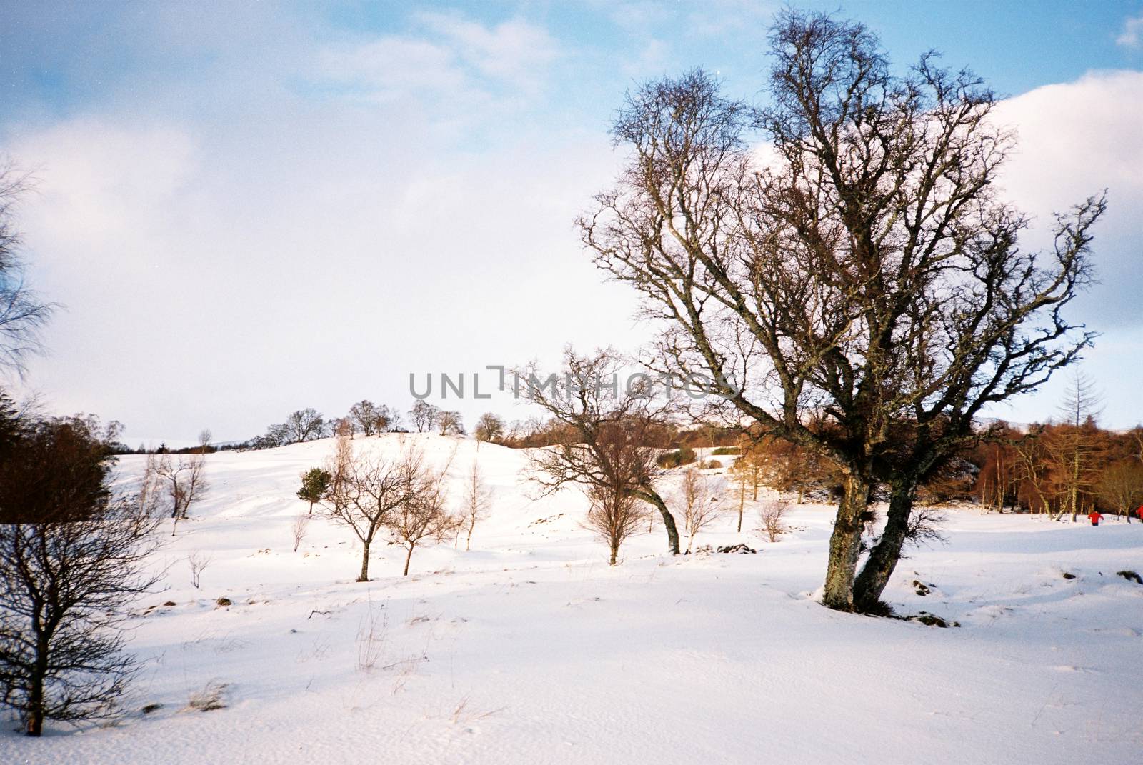 Color film image of winter scenery in Kingussie