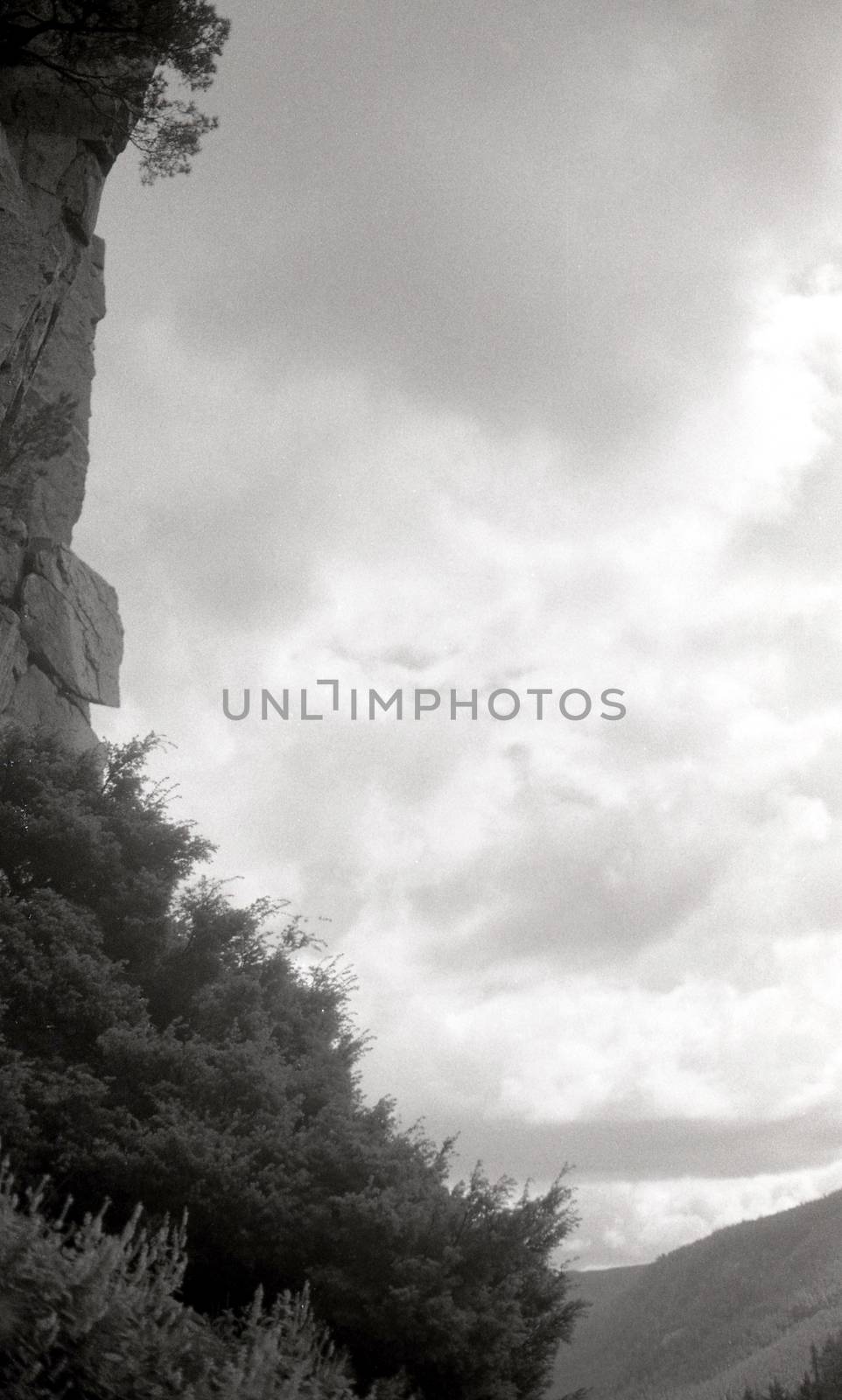Black and white film image of rocks and weeds in Pass of Ballater