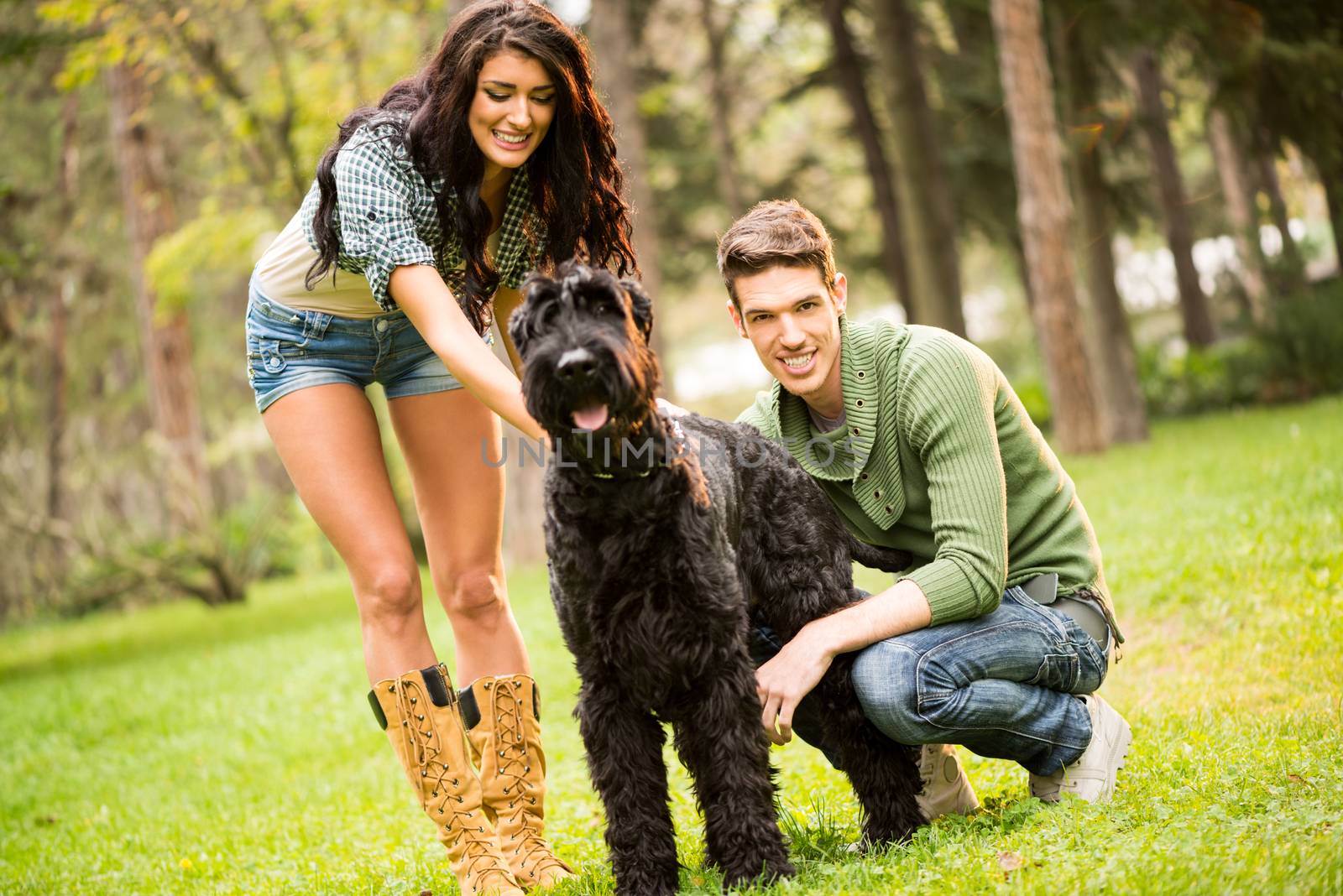 Young pretty brunette caresses a dog, a large black schnauzer. Beside a dog crouching handsome guy with a smile looking at the camera