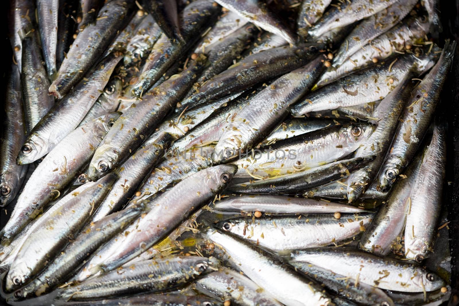 Fresh Smelts preparation for frying. Close-up