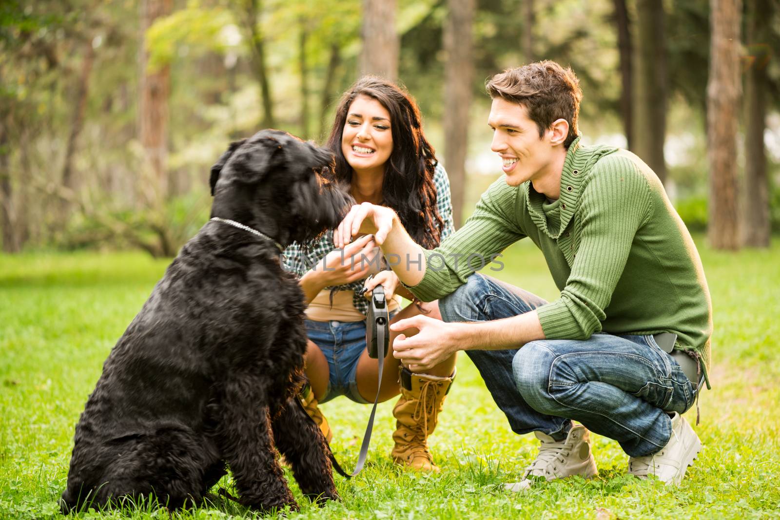 Young attractive girl crouches in the park with her boyfriend next to the dog, a black giant schnauzer.