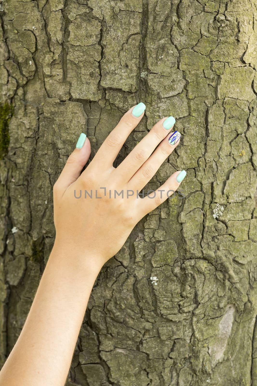 Arm girls with beautiful manicure touches the tree bark
