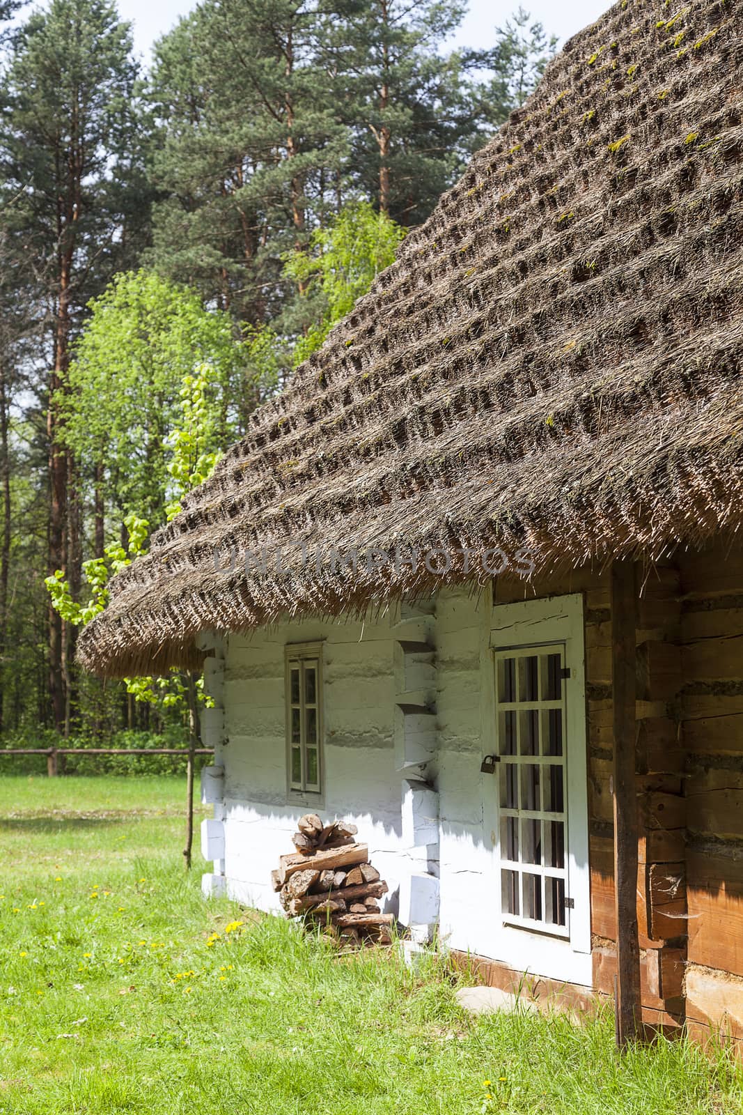 old traditional wooden polish cottage in open-air museum, Ethnographic Park, Kolbuszowa, Poland