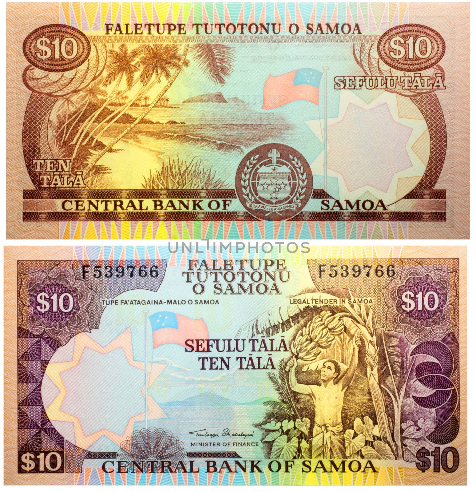 Banknote 10 tala Samoa front and back isolated on white emitted on 2002. Man picking bananas at right, national flag at left center. Back: Shoreline landscape, arms at lower center, national flag at center right