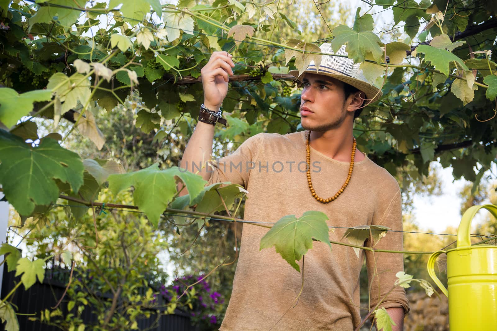 Side view of handsome young man in hat toching vine leaves in garden in sunlight