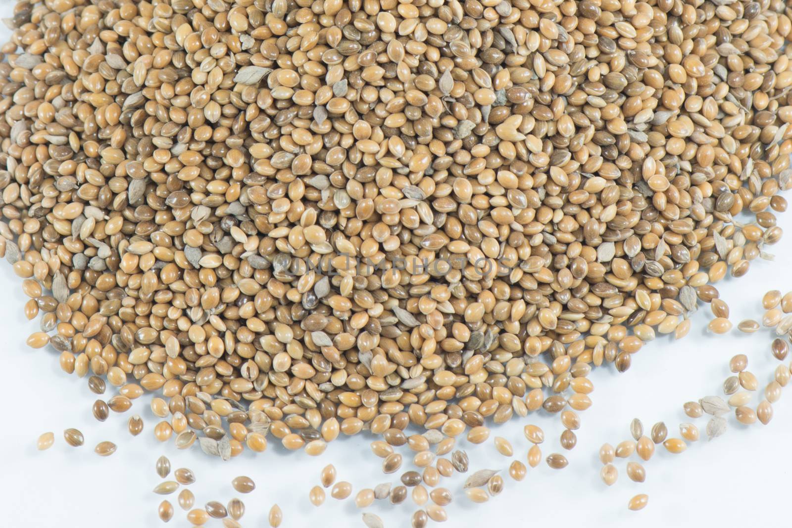 Hemp seeds held by woman hands, shaping a heart