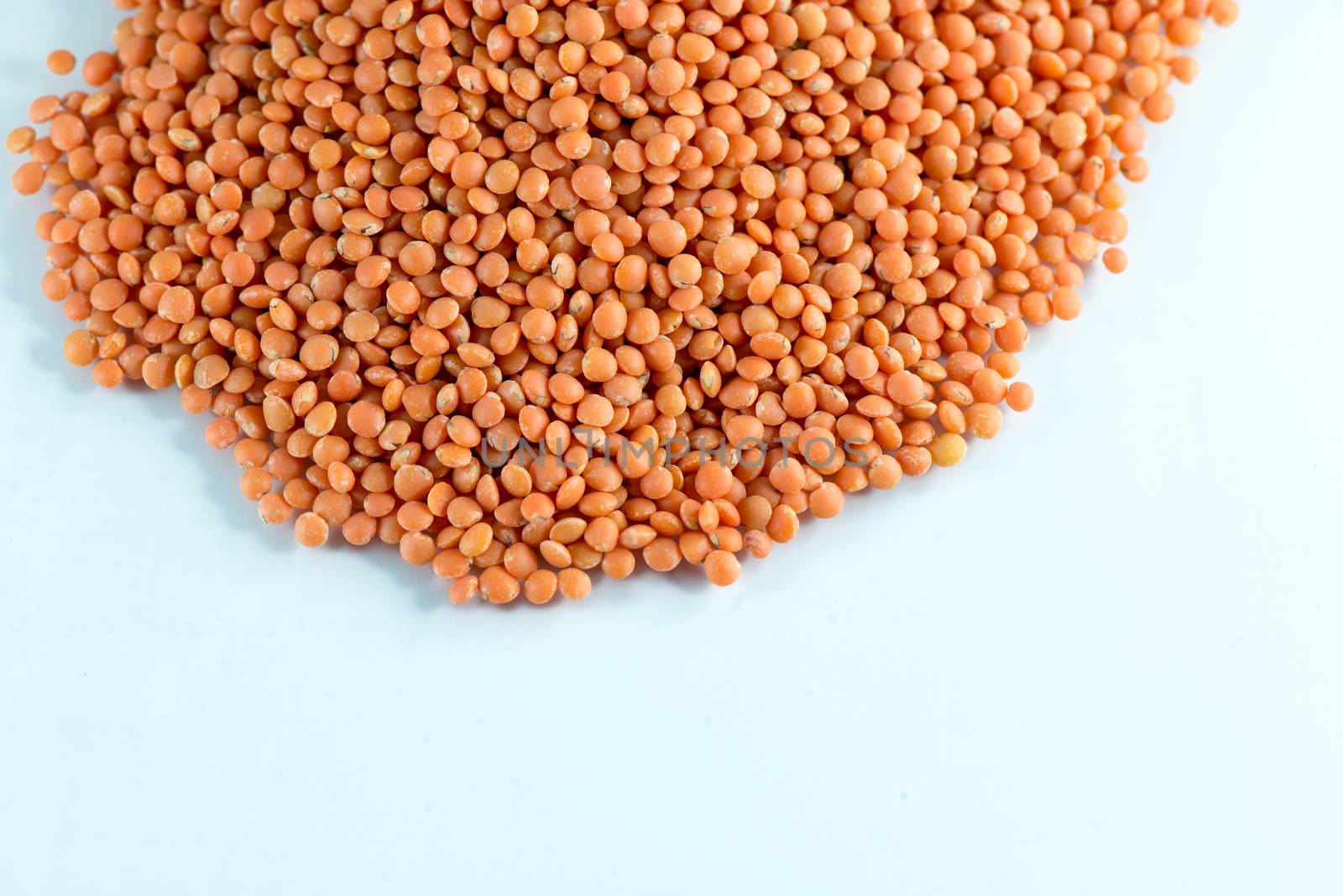 Channa dal, famous Indian legume also called yellow Pigeon peas
