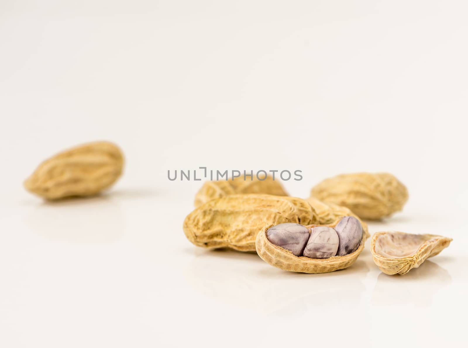 Peanut in macro shot in studio by dul_ny