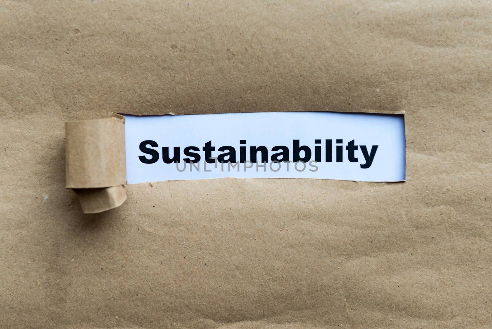 sustainability word on the torn paper background