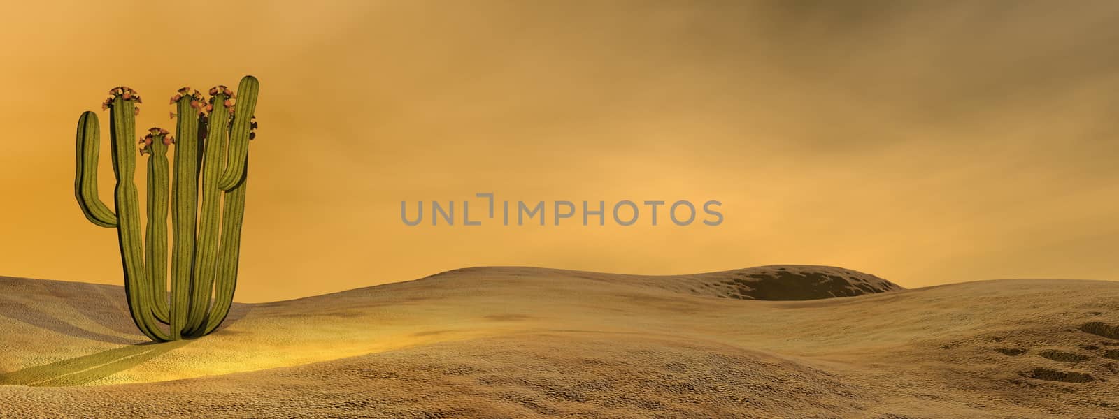 Cactus in the desert - 3D render by Elenaphotos21