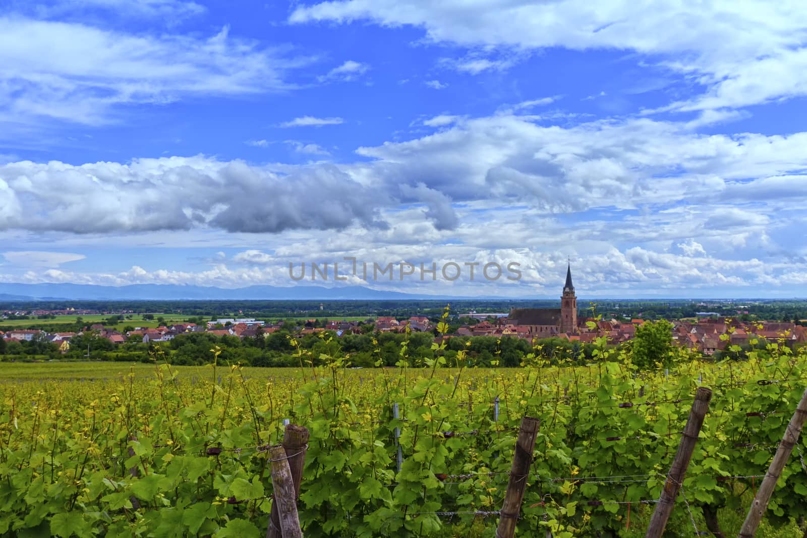 View on Saint-Hyppolyte and vineyard by beautiful day, Alsace, France