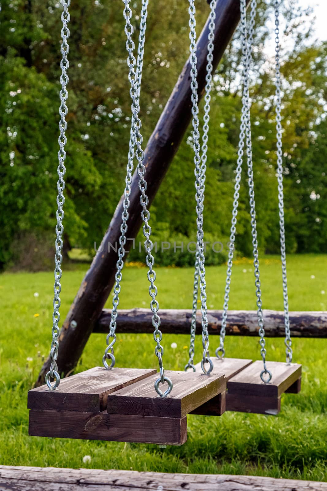 a fragment of the swing on the grass in the park