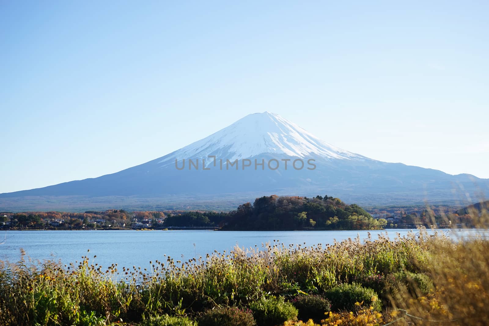 The beautiful mount Fuji in Japan                                