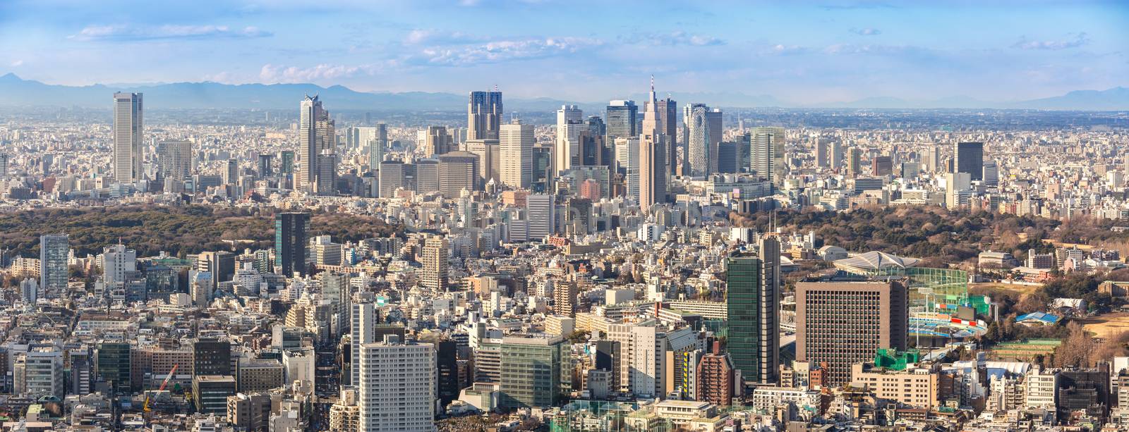 Tokyo city skyline in Shinjuku area panorama