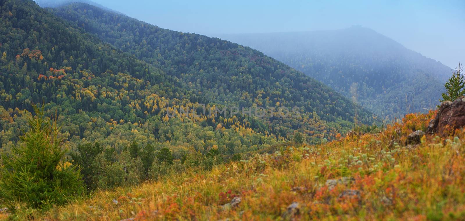 Altay mountains in beauty day, Siberia, Russia