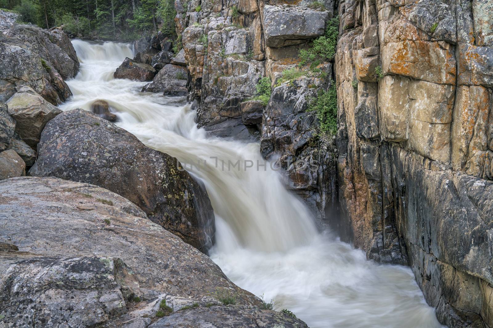 Cache la Poudre River at Poudre Falls in northern Colorado, , early summer scenery with a high flow