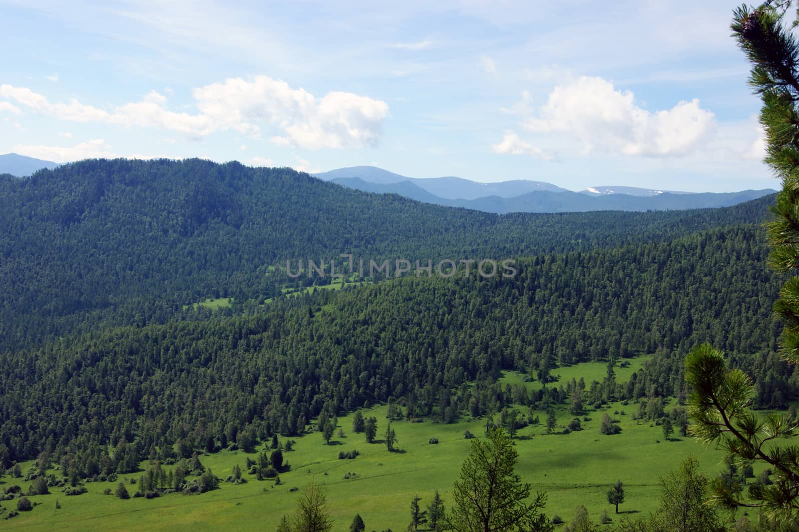 Colorful landscape of the mountains and glade by summer