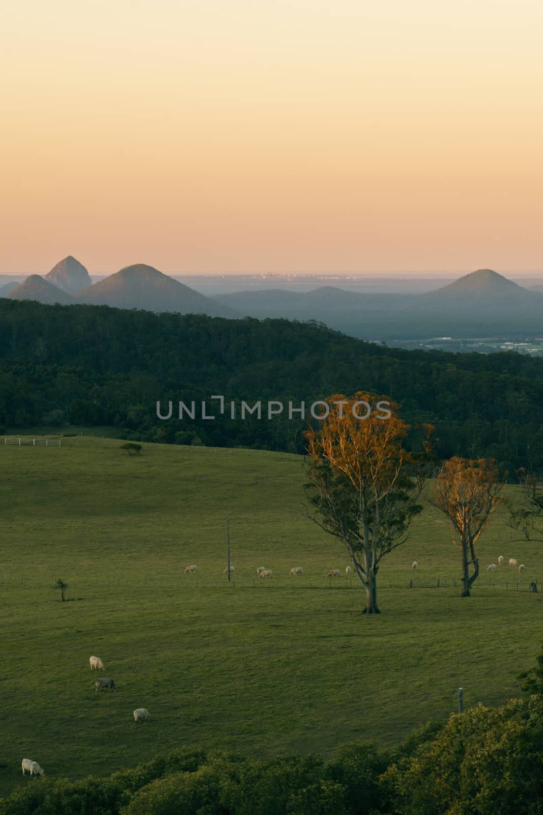 View from Dahmongah lookout in Mount Mee at dusk.