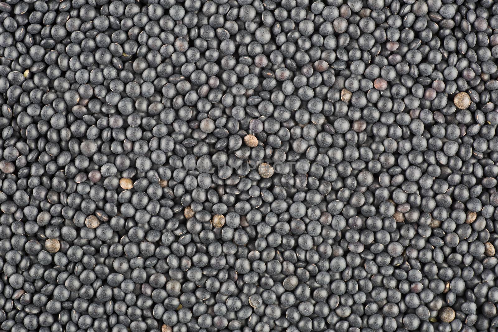 Black lentil food background texture