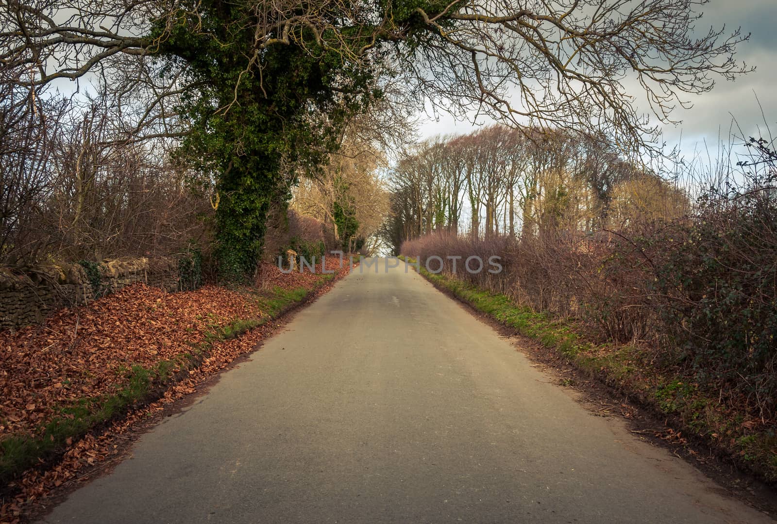 Road in rural Britain in winter