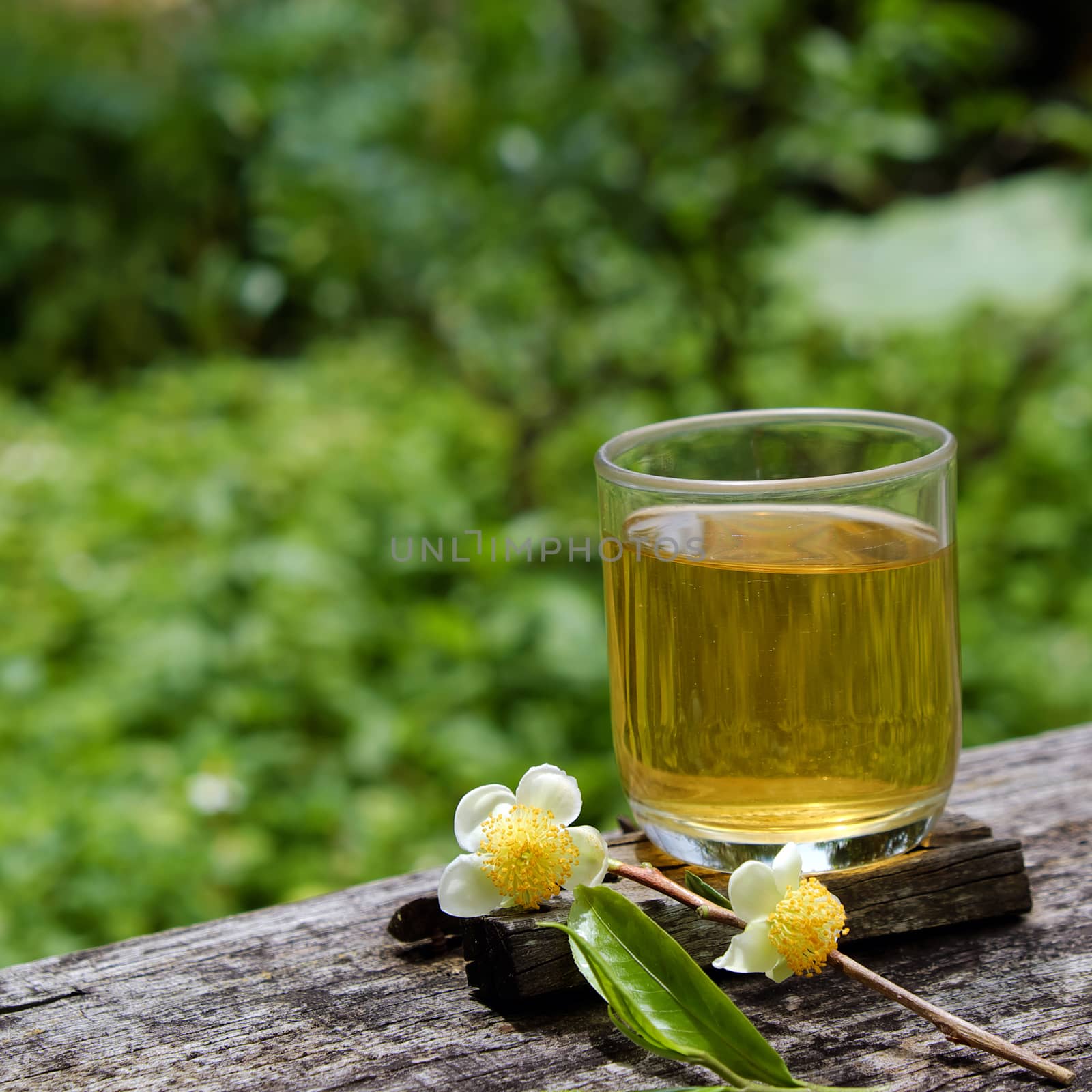 Green tea cup on wooden background with leaf and flower, green tea is good drink, healthy beverage can antioxidant, rich vitamin